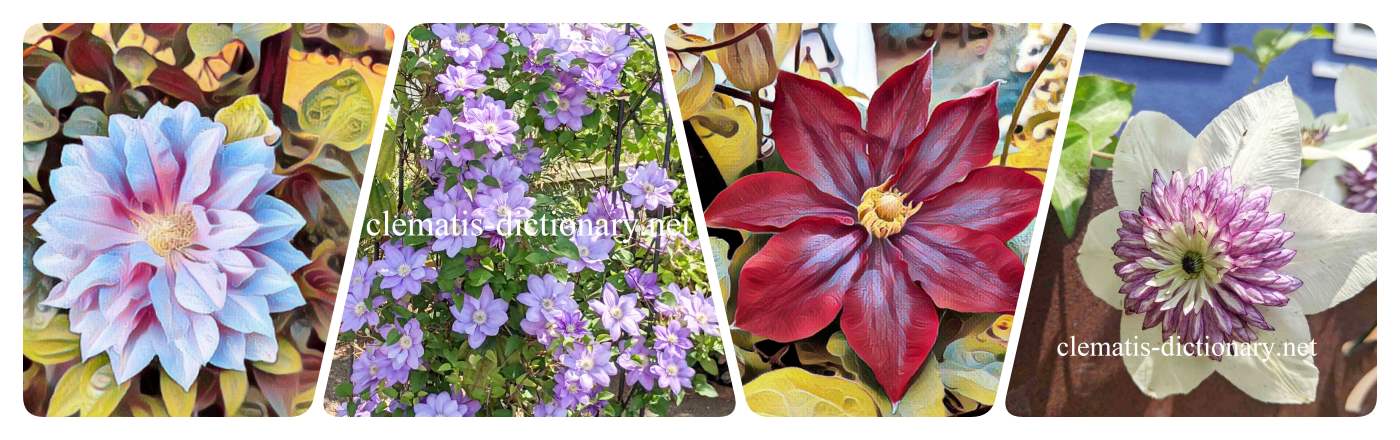 Clematis Dictionary